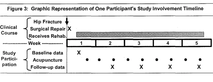 Figure  3:  Graphic Representation  of One Participant's Study Involvement Timeline 