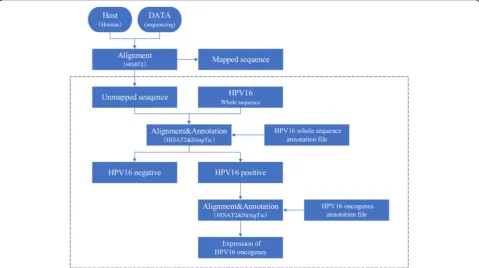 Fig. 1 Whole genome sequence of HPV16. a Sequence information of HPV16 downloaded from GEO database initiated at the E1 gene site;b Modified sequence information of HPV16 with E6 relocated at position 104 in LCR