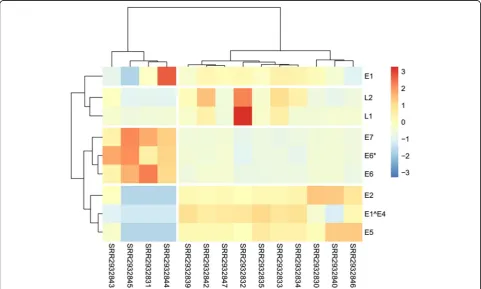 Fig. 4 Heatmap of expression level of oncogenes in 14 HPV16 positive HNSC samples. The cell color based on the FPKM value of HPV16 oncogenes.Red means high expression while blue means low expression