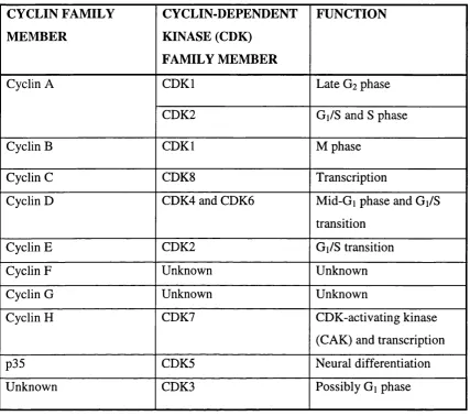 TABLE 1MAJOR HUMAN CYCLINS AND CYCLIN-DEPENDENT KINASES