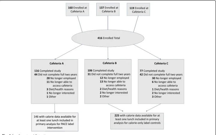 Fig. 1 Enrollment and Retention