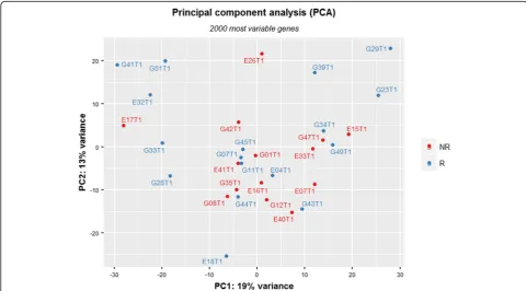 Fig. 1 Principal component analysis of gene expression data in responders (Rs) and non-responders (NRs) at time point 1 (T1)