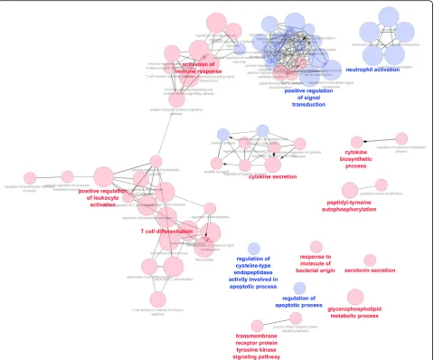 Fig. 2 Network of enriched Gene Ontology (GO) term clusters in responder (R) patients