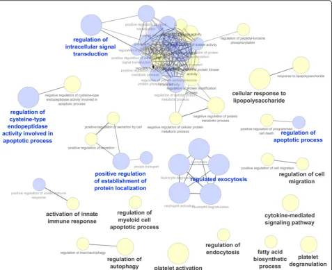 Fig. 3 Network of enriched Gene Ontology (GO) term clusters in non-responder (NR) patients