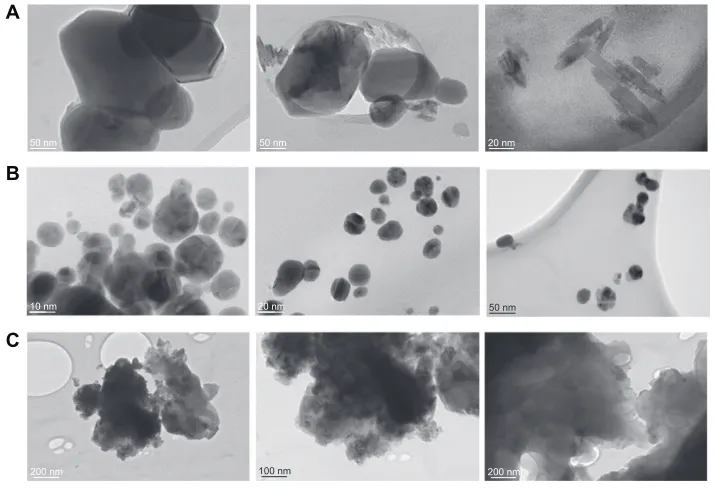 Figure 5 Scheme representing proposed formation of colloidal silver nanoparticles without PgA (A) with optimal (B) and excessive (C) concentration of PgA.Abbreviation: PgA, poly-α, γ, L-glutamic acid.