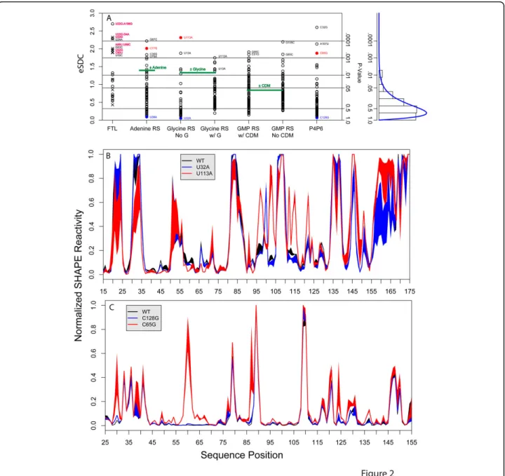 Figure 2 Comprehensive analysis of mutation induced structure disruption in five non-coding RNAs