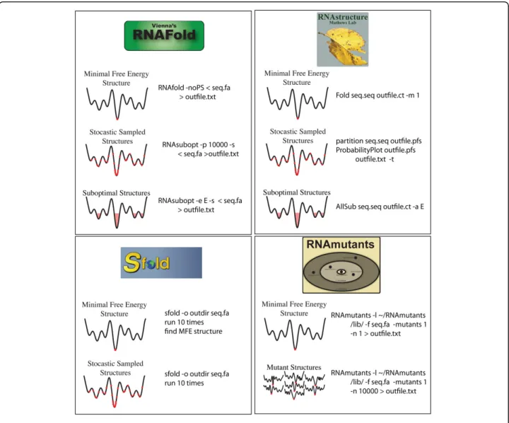 Figure 3 Schematic representation of the four software packages we benchmarked for their ability to predict which mutations in an RNA affect structure most significantly