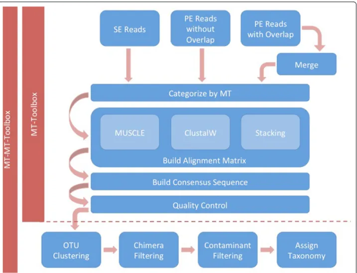 Figure 1 MT-Toolbox overview. Single-end or paired-end (overlapping or non-overlapping) reads can be input into MT-Toolbox