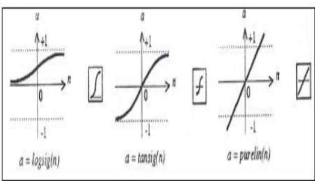 Figure 2: Transfer Functions 
