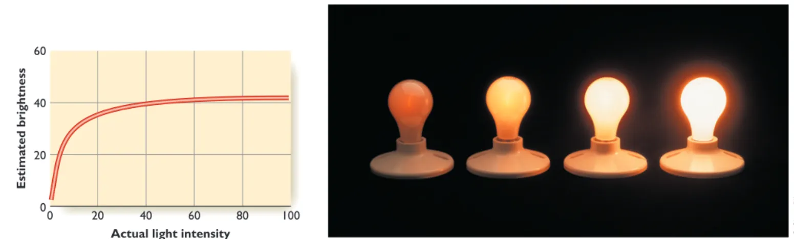 Figure 1.6 shows the relationship between the inten- inten-sity of light and its perceived brightness