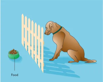 FIGURE 1.7  Early comparative psychologists assessed animal intelligence with the delayed-response problem