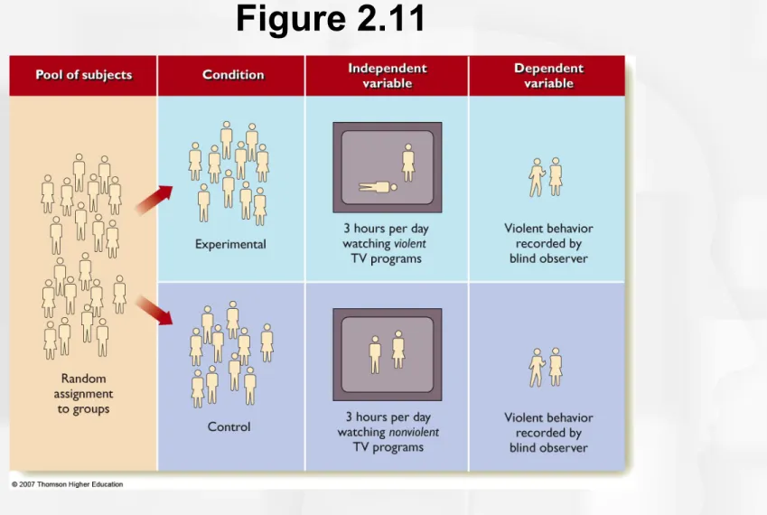 Figure 2.11 An experimenter manipulates the independent variable (in this case the  programs people watch) so that two or more groups experience different treatments