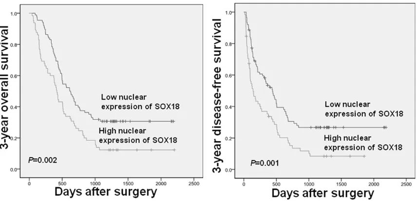 Table 3. Multivariate survival analysis of 3-year overall survival and disease-free survival in 153 HCC patients
