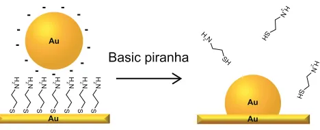 Figure 1 schematic illustration of the fabrication process of the nanostructured gold surface: citrate protected gold nanoparticles are electrostatically immobilized to a self-assembled monolayer of cysteamine