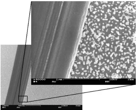 Figure 2 scanning electron microscopy images showing a smooth area on a nanostructured gold surface, created by scratching away the particles with a syringe needle