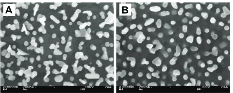 Figure 3 scanning electron microscopy images of gold nanoparticles bound to the smooth gold background