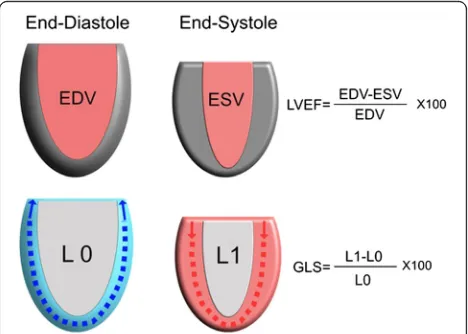 Fig. 1 Illustration of differences between left ventricular ejection fraction(LVEF) and global longitudinal strain (GLS)