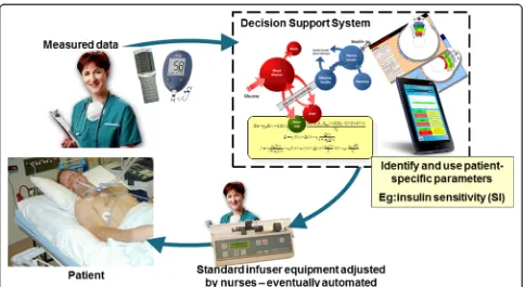 Fig. 1 Model-based decision support to mimic the human pancreas with a nurse in the loop, but eventually automated