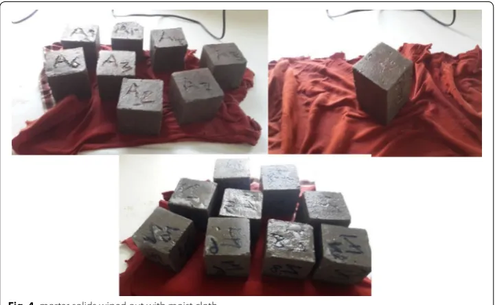 Fig. 4 mortar solids wiped out with moist cloth