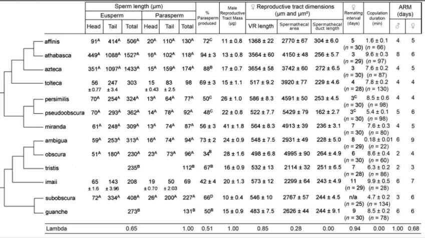 Table 1. The table gives mean values ± standard error where applicable. Samples sizes are n = 30 for the female reproductive tract measurements, n = 25 for male reproductive tract mass, and n = 10 males for the sperm trait data