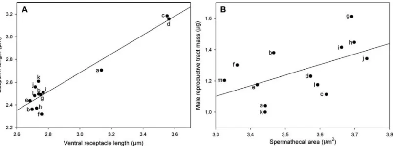 Figure 1. Coevolution was found between female sperm storage organs and male reproductive traits: (A) ventral receptacle and eusperm length; (B) spermathecal area and male reproductive tract mass