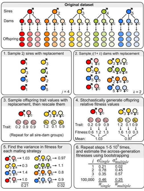 Figure 1. Schematic outlining the simulation.