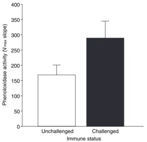 Fig. 3 Haemolymph phenoloxidase (PO) activity in immune naı¨ve male beetles and male beetles that had received an immune challenge 24 h before measuring PO