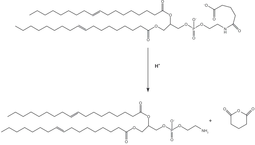 Table 2 r2 and K for drug-release experiment in four types of receptor medium