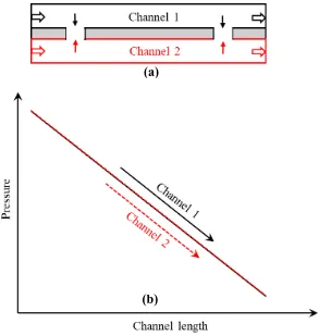 Figure 3.2 (a) Top view of inter-connected parallel flow channels along with flow directions, (b) local pressure distribution along the channel length (figure is not drawn 