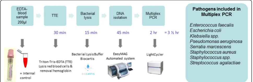 Fig. 1 Sample processing method and multiplex PCR assay. EDTA Ethylenediaminetetraacetic acid