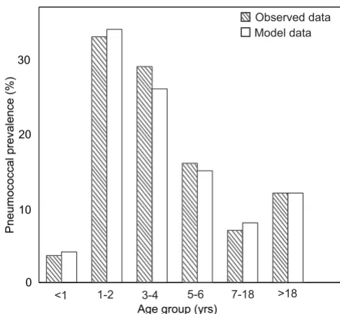 Figure 3Age distribution for prevalence of pneumococcal carriageAge distribution for prevalence of pneumococcal car-riage