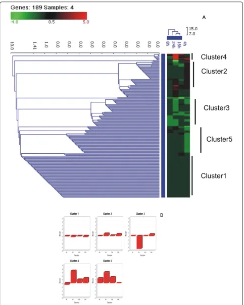 Figure 1 Hierarchical clustering (A) and k-means clustering (B) of differentially expressed genes of HPAI-H5N1 (A/Chicken/India/WB-NIV2664/2008) infected A549 cells at different post-infection time points