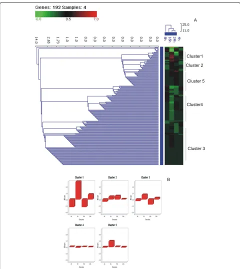 Figure 2 Hierarchical clustering (A) and k-means clustering (B) of differentially expressed genes of RG modified H5N1 (A/India/NIV/2006(H5N1)-PR8-IBCDC-RG7) infected A549 cells at different post-infection time points