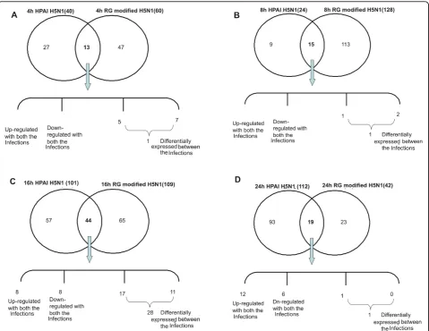 Table 3 Genes showing contrasting expression pattern between HPAI-H5N1 and RG modified H5N1 virus infection inA549 cells at 16 hpi