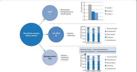 Fig. 1 Overview of techniques to detect bacterial microbiota. To detect which bacterial species there are in a sample, there are three options: 1)use quantitative polymerase chain reaction (qPCR) to detect total bacterial 16S rRNA gene and/or in combinatio