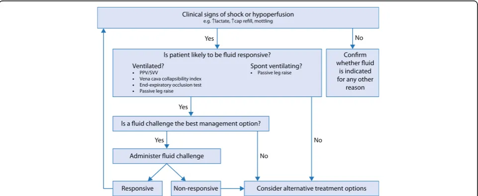 Fig. 2 Flow chart to demonstrate the possible decision-making process in fluid administration in shock