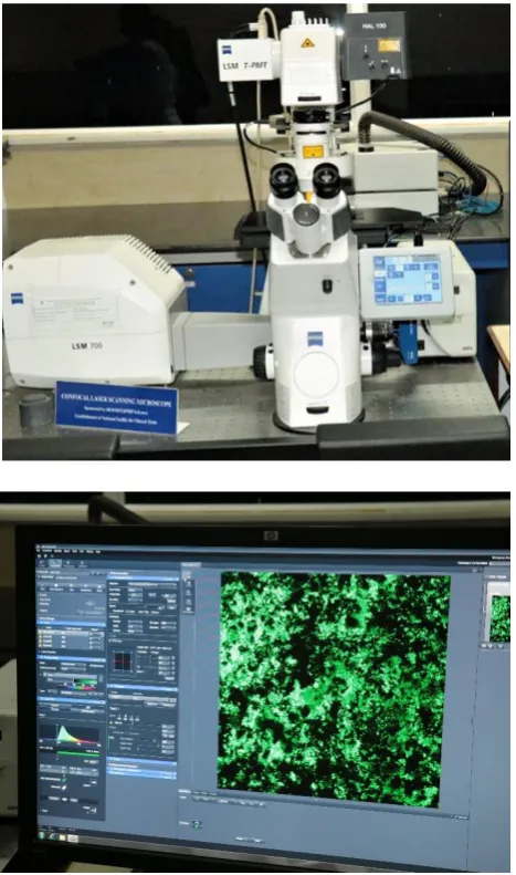 Figure 14: Titanium disc in focus under confocal laser scanning microscope 