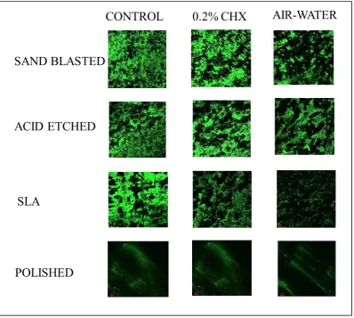 Figure 16: Surface modified titanium discs following instrumentation and irrigation with Group I – Plastic curette (Hu-Friedy) under confocal laser scanning microscope 
