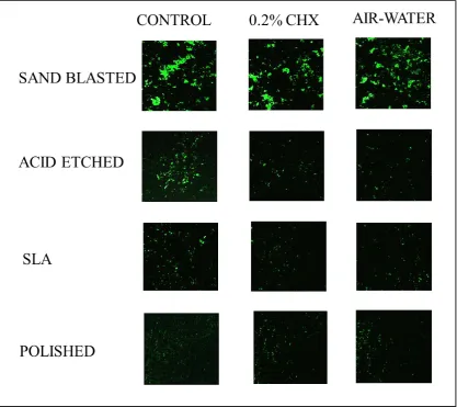 Figure 18: Surface modified titanium discs following instrumentation and irrigation with Group III- PEEK tip (EMS) under confocal laser scanning microscope  