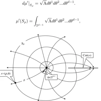 Figure 3. Polar coordinates in M \ Cut ∗ (o)