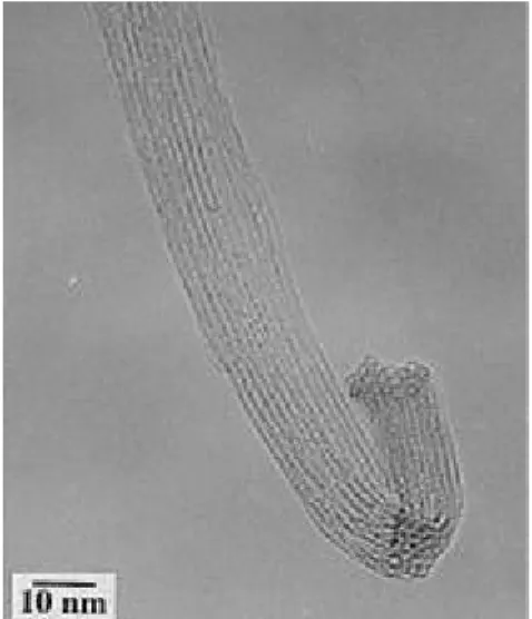 Figure 2-10: TEM images of a bundle of SWNTs catalysed by  Ni/Y (2:0.5 at. %) mixture, produced with a continuous laser
