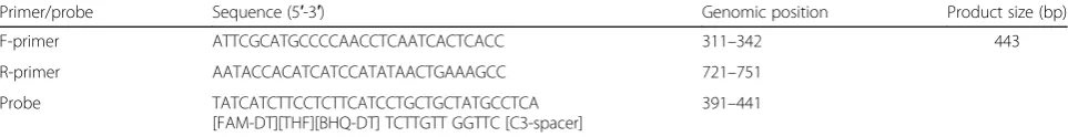 Table 1 The information on primer and probe of RAA assay