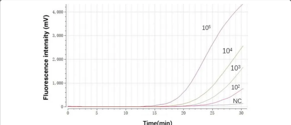 Fig. 1 Representative HBV RAA reaction curve. A serial dilution ranging from 105 to 100 copies/reaction of recombinant plasmids