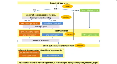 Fig. 1 Algorithm used for the treatment of patients with suspected and confirmed scabies infestations