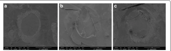 Fig. 1 Representative images of the failure mode. Respectively: a adhesive failure, b cohesive and c mixed