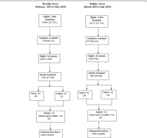 Fig. 1 Process of baseline and endline prevalence surveys conducted among Saharia population, Shivpuri district, Madhya Pradesh