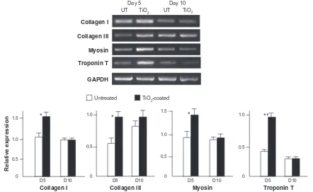 Figure 8 Expression of muscle cell-related genes at days 5 and 10 of culture on the microroughened titanium surfaces with and without 15 minutes of TiO2 coating assessed using reverse transcriptase-polymerase chain reaction