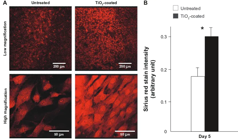 Figure 9 Collagen production by muscle cells cultured on the microroughened titanium surfaces with and without 15 minutes of TiO2 coating at day 5