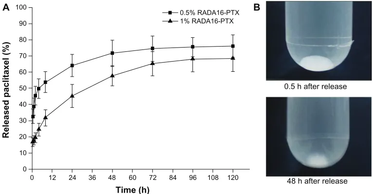 Figure 7 In vitro release of PTX from rADA16-PTX hydrogel with different peptide concentrations