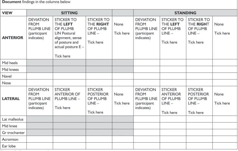Figure 2: Data capture form